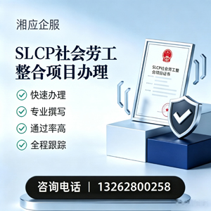 南京SLCP社会劳工整合项目申报服务