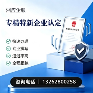 南京专精特新企业申报服务