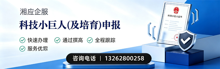 南京科技小巨人及培育企业申报服务
