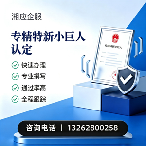 南京专精特新小巨人申报服务