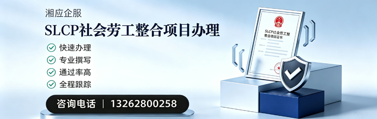 南京SLCP社会劳工整合项目申报服务