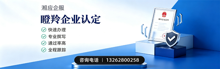 南京瞪羚企业认定申报服务