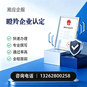 南京瞪羚企业认定申报服务