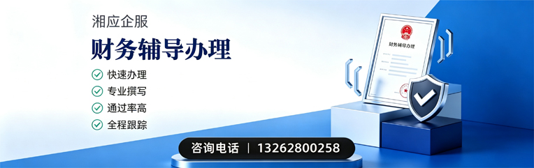南京财务辅导申请服务