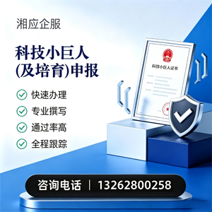 南京科技小巨人及培育企业申报服务