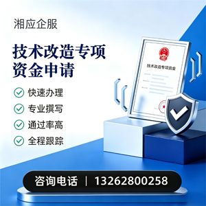 南京技术改造专项资金申报服务