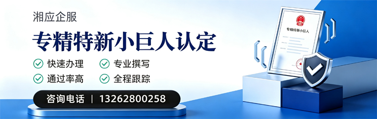 南京专精特新小巨人申报服务